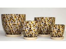 203 Z ������