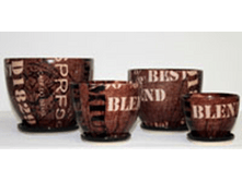 204BR ������