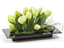 619 ������� ����������� 390*190 ��