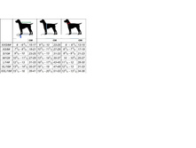 � ����.����