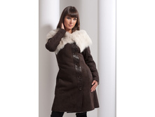 D-31 ��������.jpeg