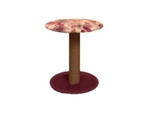 �� 375 ��� ���������� ���� 50��