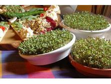 ������������ ����������� ������� ����������� ���. ����.jpg