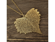 ����� "���� ������" ������, ���������. �������.