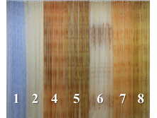 ������� ��������, ���� 100 ���