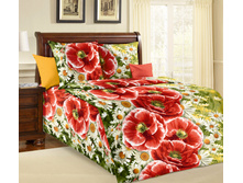 ������-1 ���������.jpg