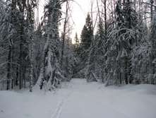IMG 7476.jpg