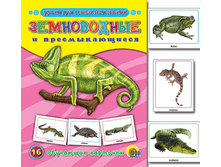 1448449068 22d954c17dec88e26c73afbb30b6cd2f.png