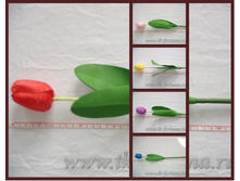 20-2023 ������� � ������������