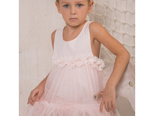 ������ Emilia-Spanish 490 �.