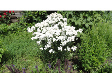 ������������� �������� ����������