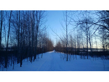 Photo 2016-02-28 19-30-44.jpg