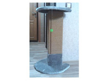 �� 1575 ��� (80��) ���������� ��������� � ����