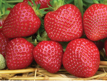 ����� NEW 60�.jpg