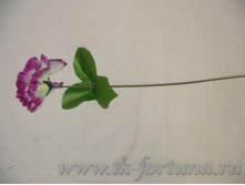 20-1974� �������� 25 ��., D=6*3 ��., �������, �����, ���������� 4.25