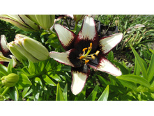 ����� �.JPG