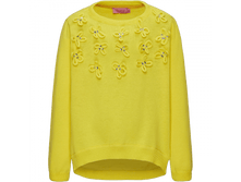 1000277875552 14544900522.png