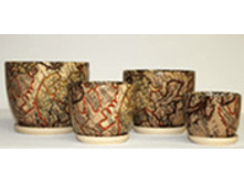 202 �������