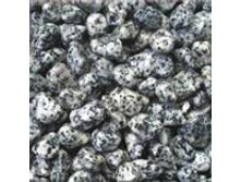 ����� ����� 8-10�� 20103�