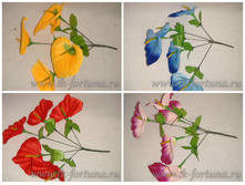 20-2044 ����� "�����" 5 �����, 29 ��., ������ D=10*10 �� 27,5