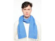 SCR01818-007. ������. 30�160 ��. Ga-ll-ie-ni. ������. 2218 ���.jpeg