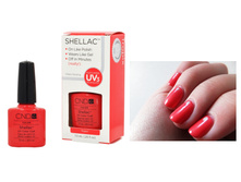 Shellac.Tropix