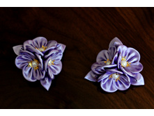 ���������. ������� 5,5��.