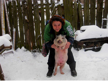 ����ӣ��� "������"