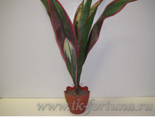 58-133 ��������� "����" 60 ��. 378.00