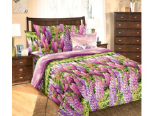 ������-2 ���������.jpg