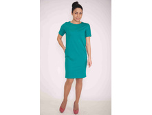 20172 �������