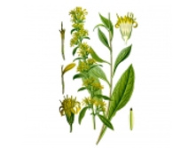 ����������,�����, 50� ��������� ����