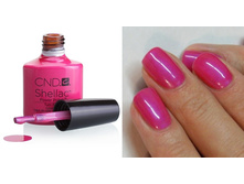 Shellac.Tutti Frutti