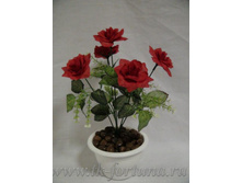 18-118� ������ � ������ "����" 30 ��., 5 �����, �����, �������, ������, ������� 165.00 ����� ���� 175�