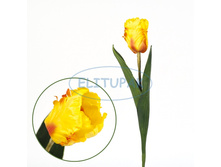 ��000701 ������� ������� ������ 57 �� 63�.jpeg