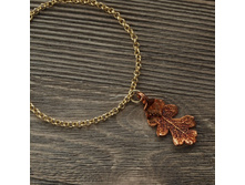 ������� "���� ����" ����, ���������