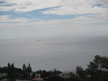 IMG 1464.JPG