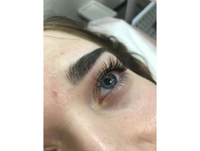 ������������ ����������� ��������