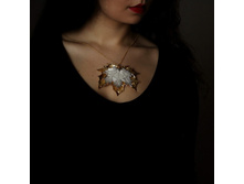 ��. ���� ����