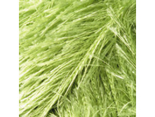 No35 78,2 ���. + %