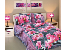 ����� ������� -1 ���������.jpg