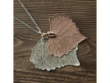 ����� "���� ������" ������� - ������� ������, ���������. �������