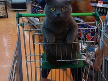 � ������� ����!