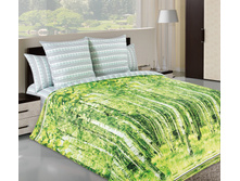 ������ ���������.jpg