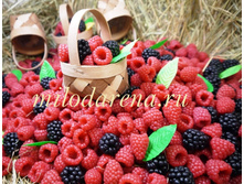 ������� � �������