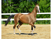 3129 1403386378.135 original.jpg