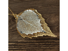 ����� "���� ������ " ������ - �������, ���������.