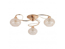 358016003 1700p (3800p).jpg