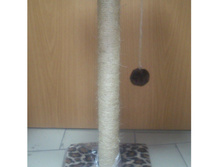 �� 435 ��� ���������� 65��