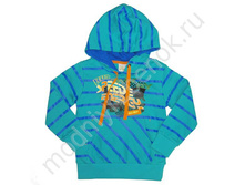 ���. 0237 CSSTH.jpg